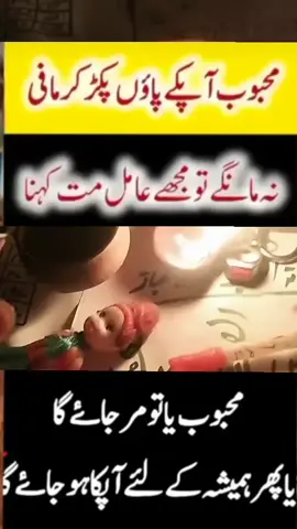 #United #Islamic #Lovemominali #Lovemominali #Australia 