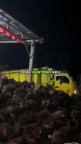 #CapCut #fypage #sawitontiktok #canter 