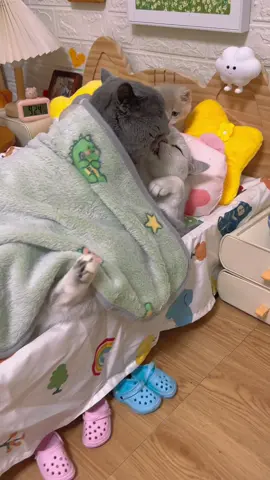 少儿不宜观看
