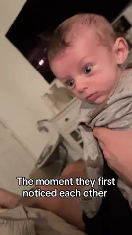 when twins see each other🤣#baby #newborn #twins #lol #cute 