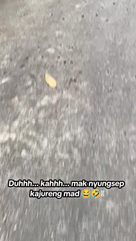 beremmah mad mak nyungsep kajureng