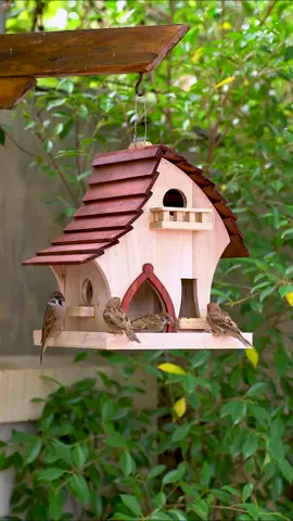Turn solid wood into most adorable bird feeder