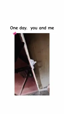 🫣😅🎀