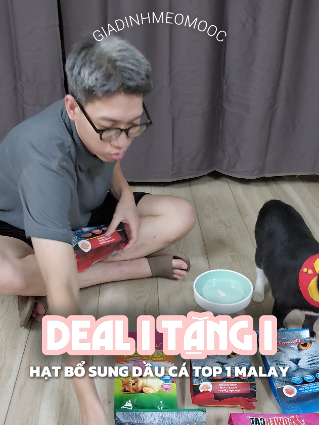 Như đã hứa, nhà mình lại đem về deal hạt nèo cận date uy tín cho cả nhà săn đây #catsoftiktok #nuoimeo #mèo #giadinhmeomooc 