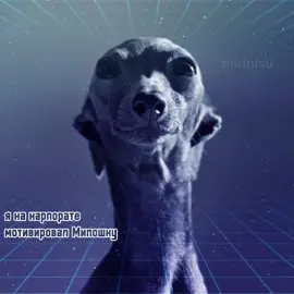 Серёга пират-тим спирит  как и просили🫶 #гав #рекомендации #музыкадлядуши #песнидлядуши 