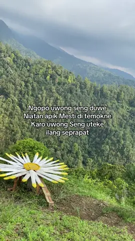 #jowopride #malang #malang24jam 