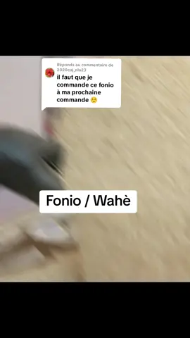 Réponse à @2020caj_ola23 #pourtoi #fonio #canada_life🇨🇦 #etsfwg #cereales 