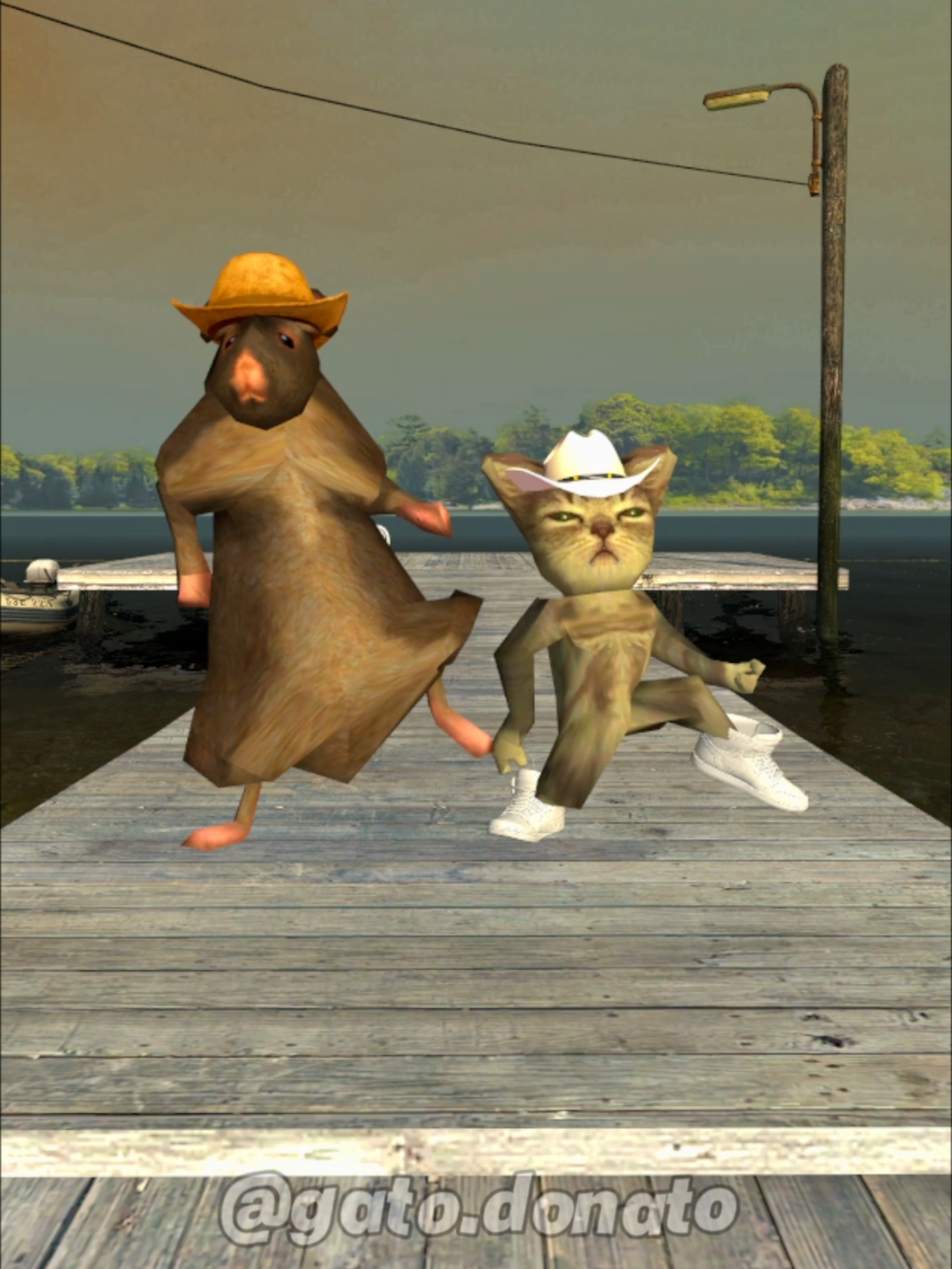 Yo Voy Voy Voy #gatodonato #gato #rato #cat #rat #musica #dança #gmod