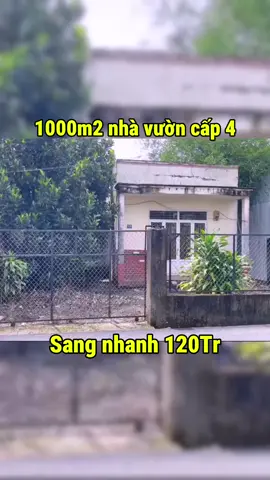 LH ( O -938//53//83O2 ) #batdongsan #reviewbds #datnengiare #datbinhduong #datbinhphuoc