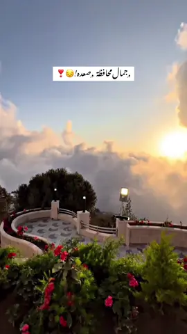 #اول_مره_اشوف_جمال_محافظة_صعده🥹❣️❤️#انتم_متخيلني_ان_هذا_الجمال_في_صعده#explore_اكسبلور_تيك_توكك🔥🇾🇪💔 #اليمن_صنعاء_روح_قلبي_إب_نبضي_اليمن🇾🇪🥹 #طلعوه_اکسبور 