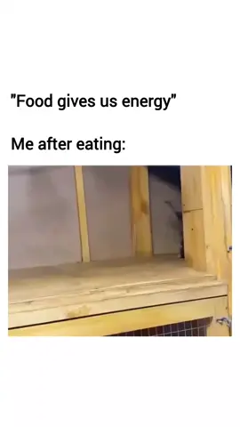 #zamzamelectronics #foryourpage #everyone #yoursearchhistory #funnyvideos 