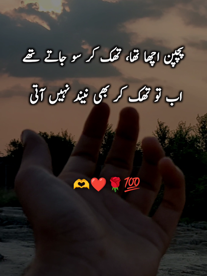 💯❤️🫶🌹😎 #fyp #grow #poetry #viralvideos #astheticpoetry 
