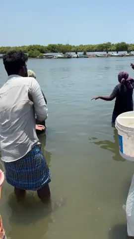 Mullet bottle fishing he catch big fish wow 