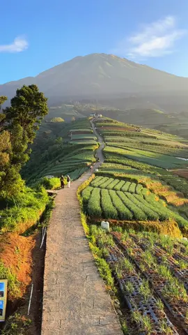 Masih belum bisa move on sama indahnya sukomakmur masyaallah banget viewnyaa😍🩵 #fyp #magelang #wisatamagelang #sukomakmur #negerisayursukomakmur 