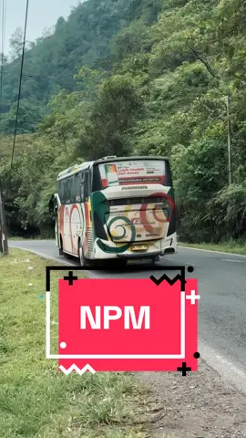 ➡️Full dim di pagi hari dari NPM V48 “Dokter Cinta” yang pulang dari Medan #ayonaikbus #npm #bustraveler #busindonesia #busmania 