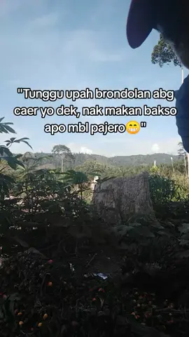 tek tek tek ngetek brondolan#fyp #berandafyp #sawitontiktok #petaniindonesia🇮🇩🇮🇩🇮🇩🌿🌿 #petanimuda 