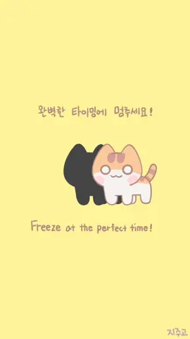 완벽한 타이밍 Perrfect timing⠀#지주고 #치치 #지구의주인은고양이다 #cat #catsaremastersoftheworld #cute 
