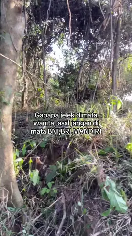 😌 #CapCut #petanisawit🌴 #kulisawit #kulisawitkalimantan🌴🌴 #fypage 