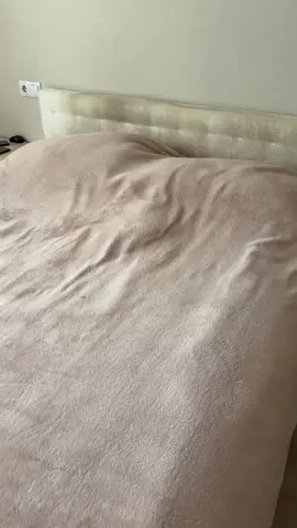 Жорік 🖤🐾🐈‍⬛