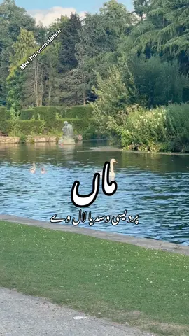 Pardesi wasdiya laal ve #Motherson #missing  #Sadtears #foryoupagfordichpage #trendingvideotiktogviral 