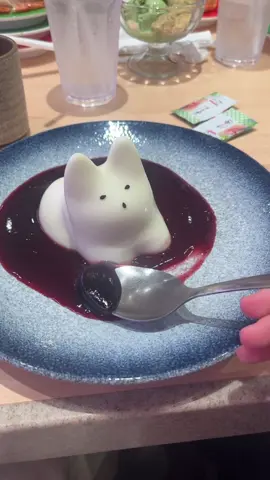 ทำไมทำแล้วไม่น่ารักเหมือนคนอื่นนน😭😂😭😂 #katsumidori #pudding #cat