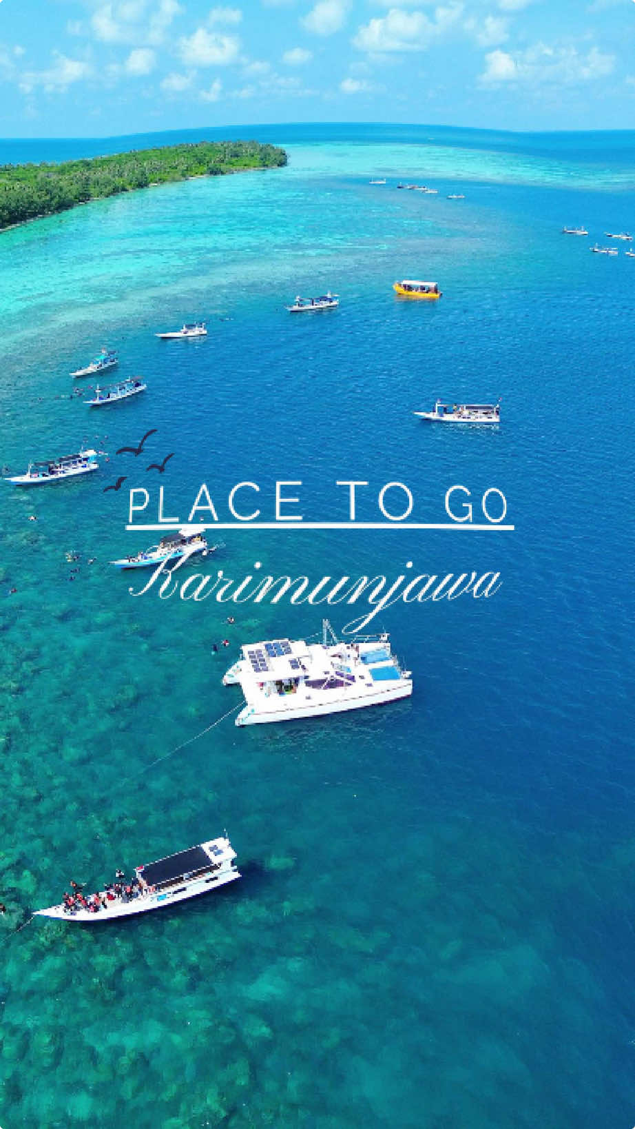 Nikmati keseruan liburan di Karimunjawa bersama Tim Visit Karimunjawa🔰 dan dapatkan pengalaman TERBAIK dengan fasilitas TERLENGKAP! READY TRIP SETIAP SAAT 🌟 (sesuai jadwal kapal penyebrangan) ✨ Paket Open Trip ✨ Paket Private Trip ✨ Paket Private Family ✨ Paket Private Couple ✨ Paket Honeymoon ✨ Paket Prewedding ✨ Paket Gathering/Company FASILITAS TRIP KARIMUNJAWA 3D2N 1. Tiket kapal ke Karimunjawa PP 2. Transportasi sesuai paket 3. Penginapan 2 malam 4. Lokal Guide HPI 5. Tour laut/wisata laut snorkeling 6. Kapal Wisata + ABK + BBM 7. Perlengkapan snorkeling dan Life jacket 8. Tour Darat  9. Tiket masuk objek wisata (kecuali HIU)  10. Dokumentasi underwater dan upwater  11. Makan 6x Selama di Karimunjawa 12. Termasuk BBQ picnic lunch (Bakar ikan)  13. Buah saat picnic lunch 14. Biscuit makanan ikan hias saat snorkeling 15. Air mineral selama kegiatan wisata tour laut 16. Safety box (P3K) selama tour 17. Biaya retribusi dermaga dan sandar kapal 18. Asuransi kapal penyeberangan 🤩 Ada harga spesial untuk dokumentasi drone dan kamera profesional! 🥰 Ada diskon untuk anak-anak! Langsung WA admin, atau klik link di bio ya! Untuk reservasi dan informasi lebih lanjut:  WA: 082138172799 atau 082333333102 IG: @karimunjawaopentrip TikTok: @karimunjawaopentrip YouTube: Visit Karimunjawa Website: www.paketwisatakarimunjawa.com Let’s explore!!! 😎 ➖ ➖ ➖ ➖ ➖ ➖ ➖ ➖ ➖ ➖ ➖ ➖ #karimunjawa #timvisitkarimunjawa #karimunjawaopentrip #karimunjawapackage #paketkarimunjawa 