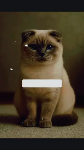 #tiktokunfreezemyaccount #fypシ゚viral🖤tiktok #pageforyou_🔥 #fyppppppppppppppppppppppp #foryoupage_tik_tok 