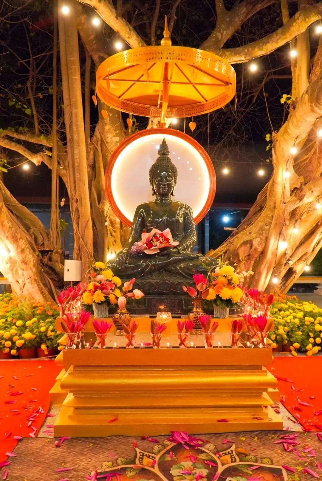 🙏🙏🙏🌷🌷🌷
