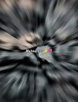 @Ali_Hyderabadi ❤️ @TikTok Creator Academy @TikTok LIVE @TikTok 