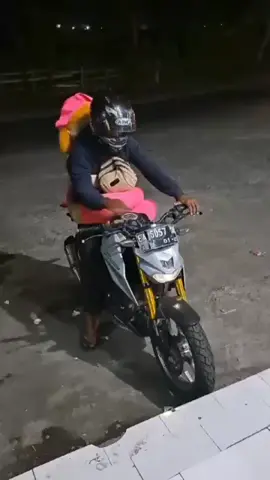 penumpang gelap