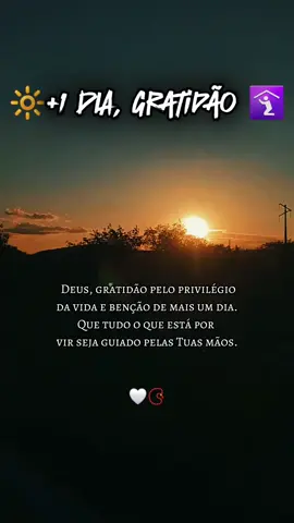 Bom dia 🌞!