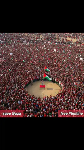 free Palestine di seluruh dunia #protest #free #palestine #gaza #explore 