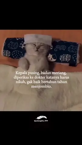 dunia hewan pun sedang tidak baik baik saja🤦🫣😁