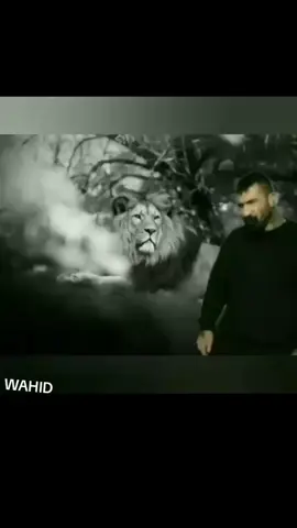 اقا- وحيد-مرادي-البطل -وحش-ايران -نسر-عقاب روحت-شاد -زعيم-مافيا -الوحش المصمم 🦅🔥