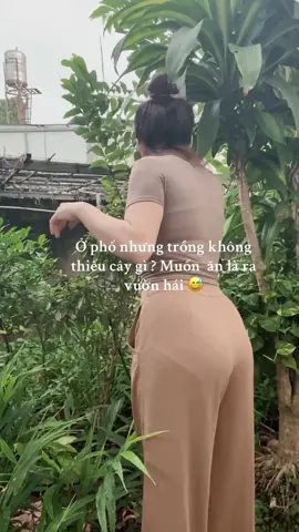 #nhachaymoingay #xuhuong 