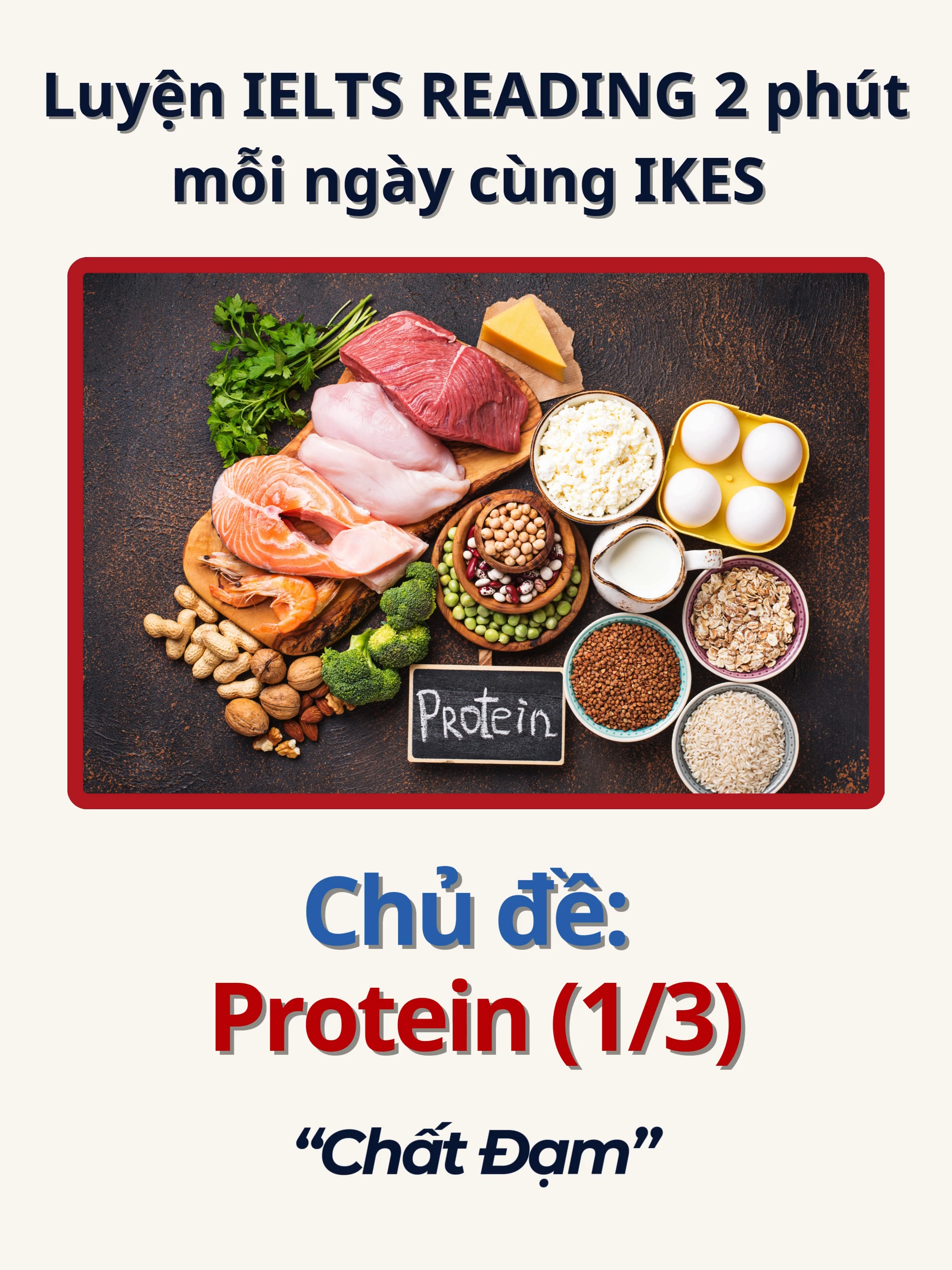 Bản dịch: Protein là “khối xây dựng” của sự sống. Không có đủ đạm, cơ thể không thể sửa chữa mô, xây dựng cơ bắp hay chống lại nhiễm trùng. Những người ăn quá ít đạm thường cảm thấy yếu, khó tập trung và hồi phục chậm sau bệnh. Trong trường hợp nghiêm trọng, thiếu đạm có thể gây rụng tóc, da dễ tổn thương và trẻ em bị chậm phát triển. Vì cơ thể không thể dự trữ đạm, chúng ta cần bổ sung đều đặn hằng ngày. Dù từ thịt, cá, trứng hay thực vật, đạm không phải là lựa chọn – nó là yếu tố thiết yếu cho sự sống và sức khỏe lâu dài. #ieltsikes #ikesreading #ieltsreading #protein