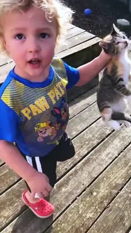 The interaction between kids and cats #foryou #funny #catlover #fyp #funnymoments #cat 