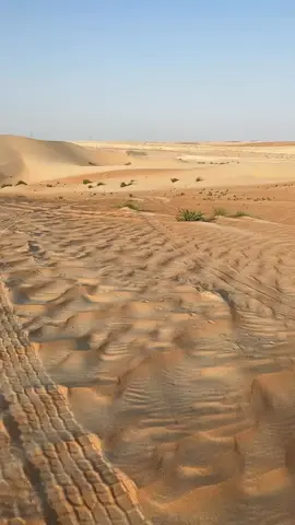 #خالديات #اكسبلور_تيك_توك 