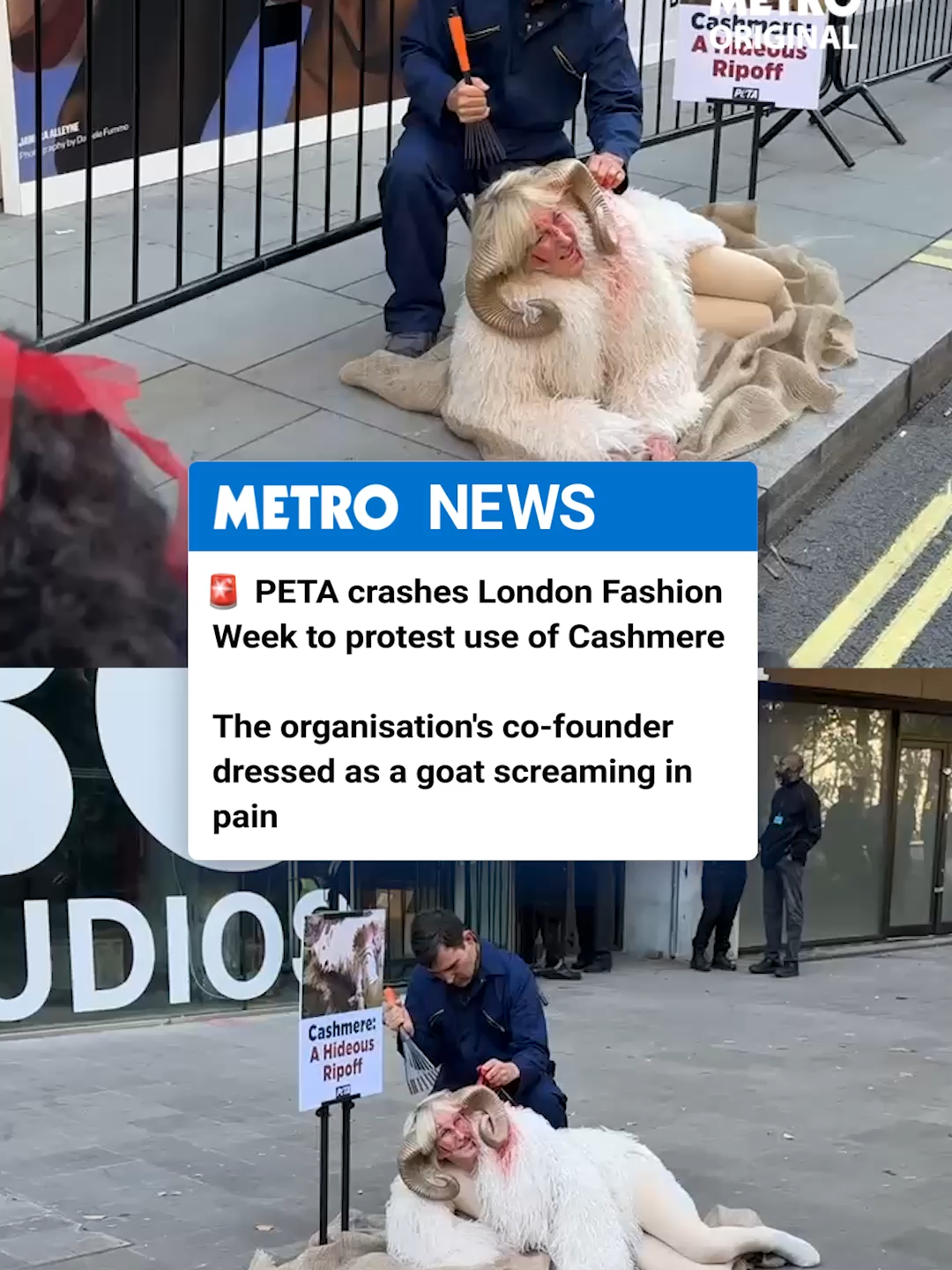 Members of the animal rights charity PETA have ambushed the opening of London Fashion Week 2025 in protest over the use of Cashmere in clothing.  The material is taken from goats in a painful process for the animals, the group says.  PETA founder Ingrid Newkirk dressed as a goat and re-enacted the process used to collect the Cashmere.  #animalrights #cashmere