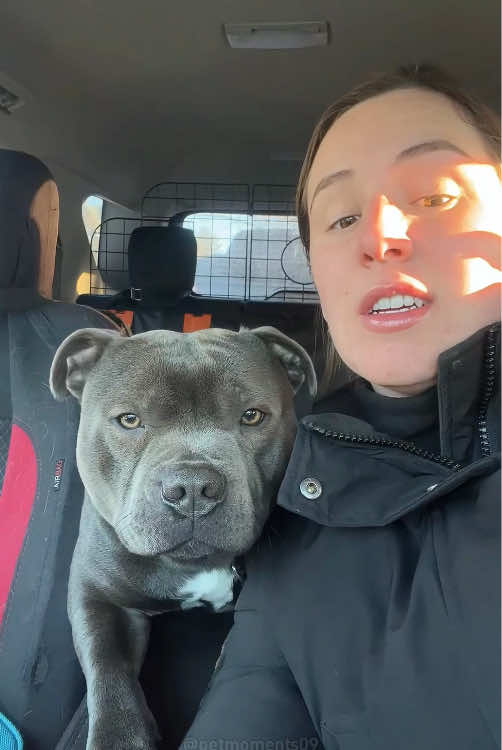 Can you guess what triggers these weird dog sounds?🐾🤣🤣#tiktok #foryou #dog #pet #funny 