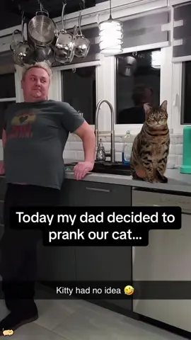 Cat Pranks 😂#funny #cat #usaus #foryou #funnyvideo #fyp #catsoftiktok #funnycat 