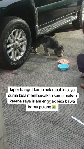 trauma banget kaya nya sama manusia sampai dideket in pun kaya ketakutan 😭#doglover #tiktokviral #fypviralシ #foryoupage❤️❤️ #viraltiktok 