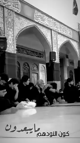 من ارض الغربه وفي صحن الغريبه مولاتي زينب  #ناعي_الزهراء_مله_ناجي_الصالحي #مصطفى_الصالحي 