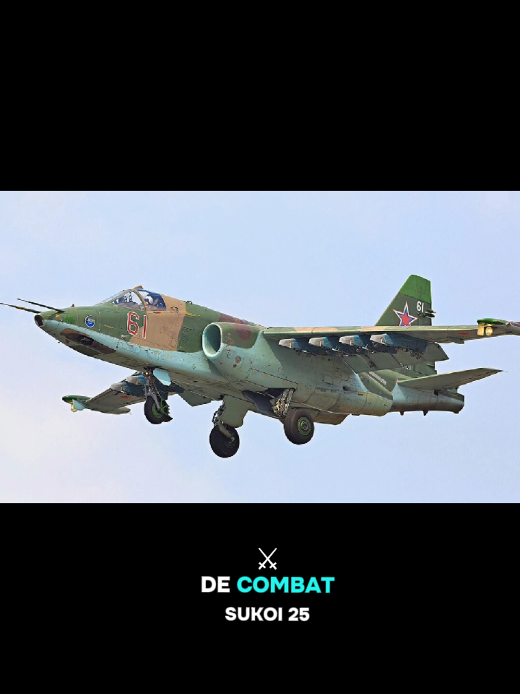 #m23 #fardc #afc #vitalkamerhe 
