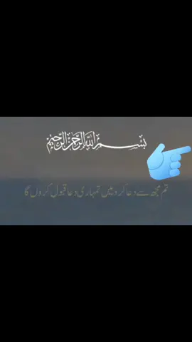 #plsesuport🙏🙏🙏🙏🙏🙏 #قران #fypppppppppp #plsesuport🙏🙏🙏🙏🙏🙏 #