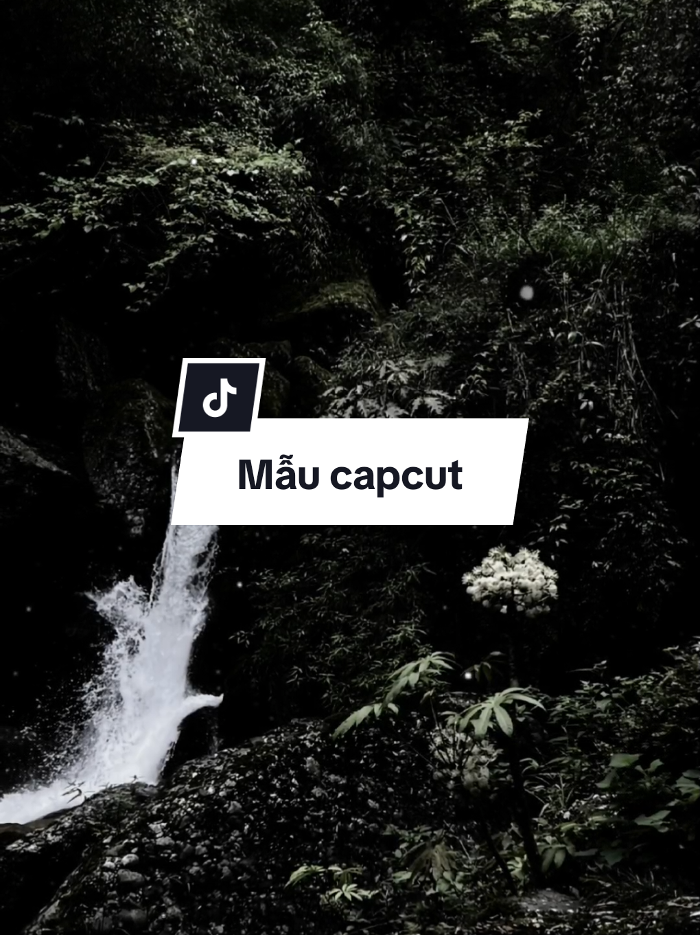 #CapCut Anh sẽ cho mình một ngày thật dài được bên em #mauhaymoingay #xh #trumview #hidengne #nhachaymoingay 