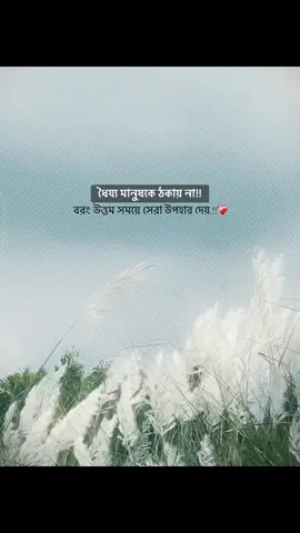 ধৈয্য মানুষকে ঠকায় না!! বরং উত্তম সময়ে সেরা উপহার দেয়.!!❤️‍🩹#foryou #foryoupage #bdtiktokofficial🇧🇩 #fyp @TikTok @tiktok creators @TikTok Bangladesh 