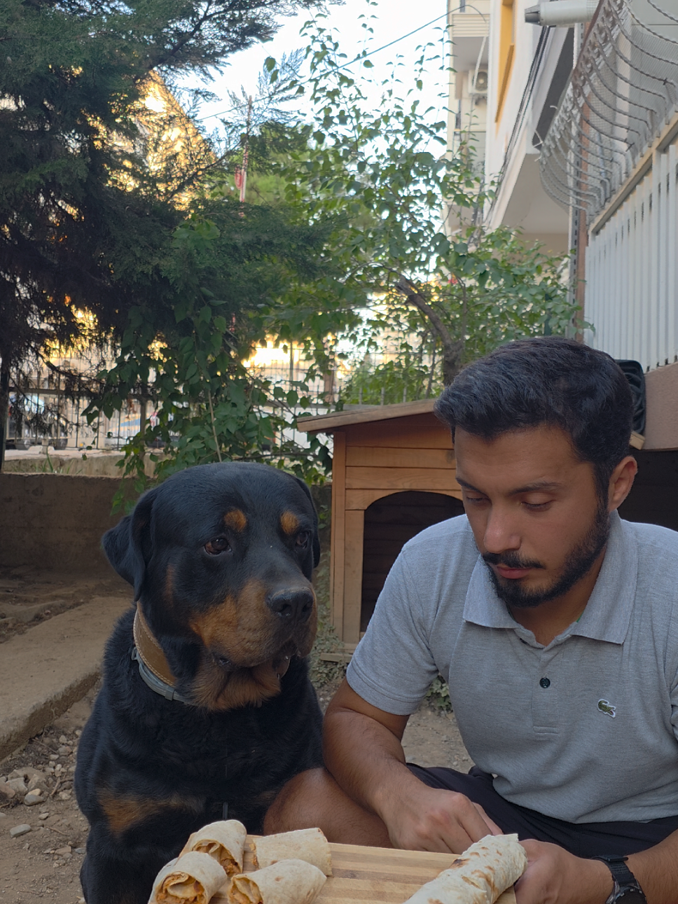 👀 😂😂😂 İnsanlar konuşarak, hayvanlar kesişerek anlaşırmış😂 Değerli-değersiz tüüm yorumlarınızı bekliyoruz! Daha fazla alex için takipte kalın🫡 ha bi sonraki videomuzda ne yiyelim/yapalım? #rottweiler #food #dog
