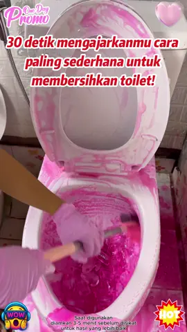 Ada tamu datang? Semprot busa toilet, dalam hitungan detik semua bau hilang!