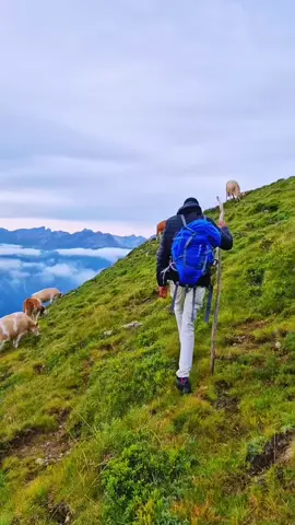 #erinnerung #السياحة_في_سويسرا🇨🇭 #switzerland🇨🇭 #زيورخ🇨🇭 #lauterbrunnen 